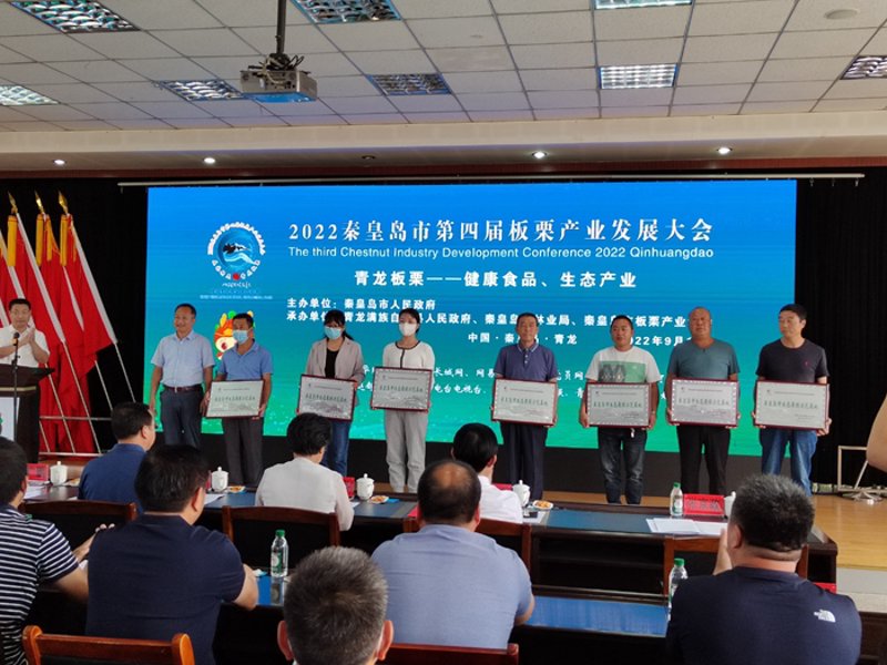 秦皇岛喜纳电子商务有限公司怎么样？一个成功案例揭示真相